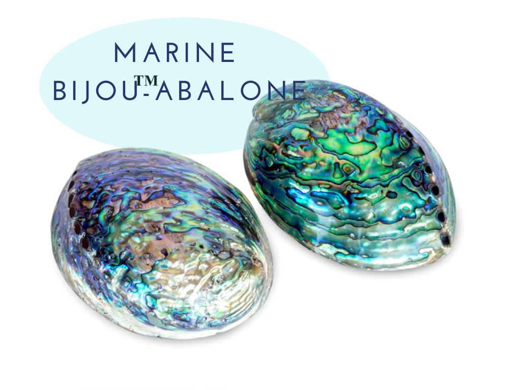 Marine Bijou-Abalone  โปรตีนสกัดจากเปลือกหอยเป่าฮื้อ ช่วยฟื้นฟู บำรุงผิวนุ่ม ชุ่มชื้น